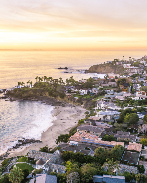 Magic Mushrooms Coto de Caza Buy Shrooms Online