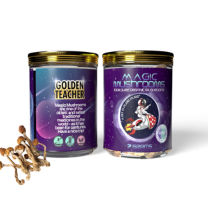 Raw Magic Mushrooms Golden Teacher