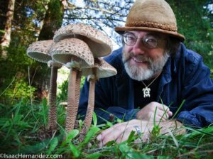 Paul Stamets - Shrooms Research - The Magic Mushroom Delivery